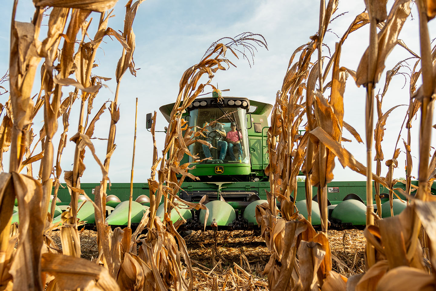 South Texas Harvest Wrap-Up