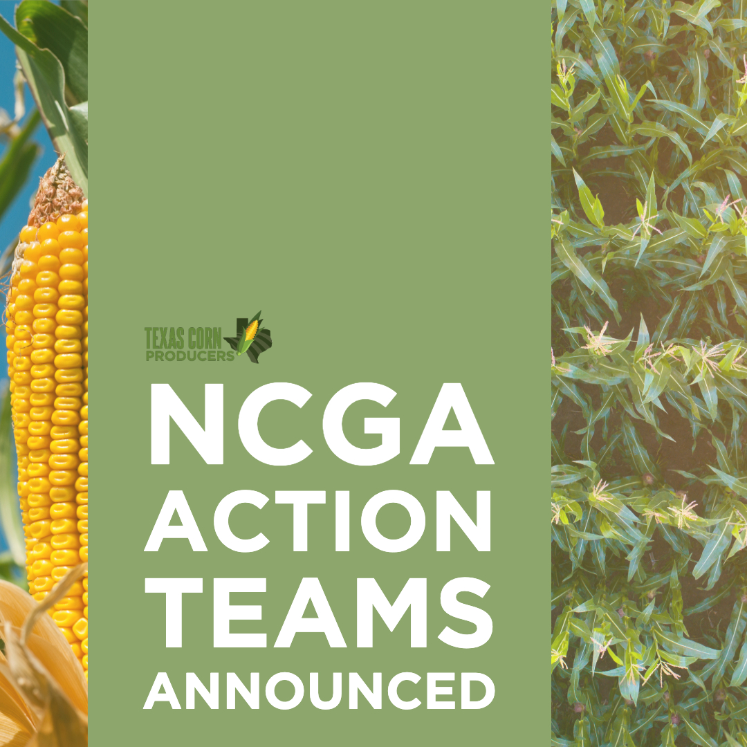Texas corn farmers to take national appointments