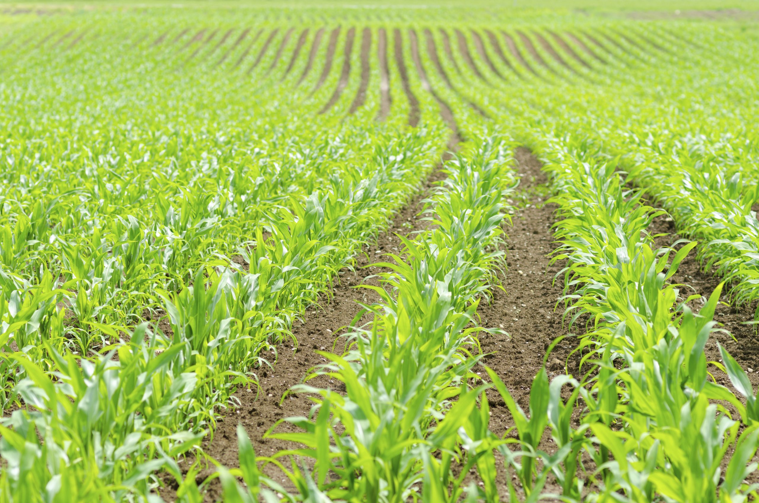 TCPA urges EPA to use credible science