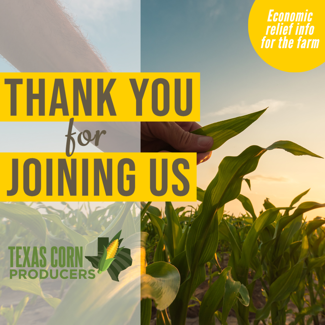 Relief options for the farm in wake of COVID-19