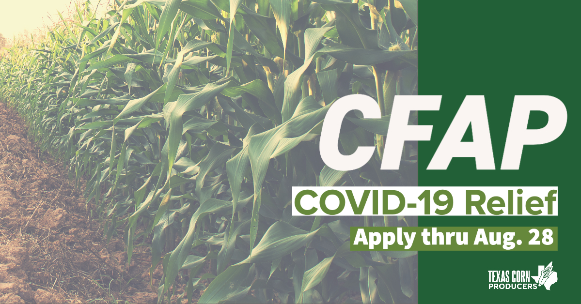 Apply now for additional COVID-19 financial assistance