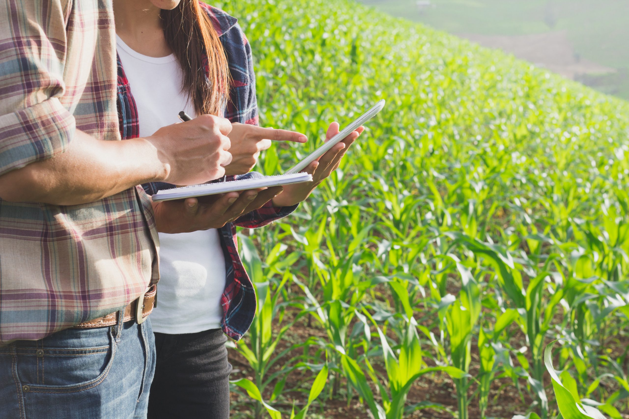 Investing in innovation to benefit Texas corn farmers