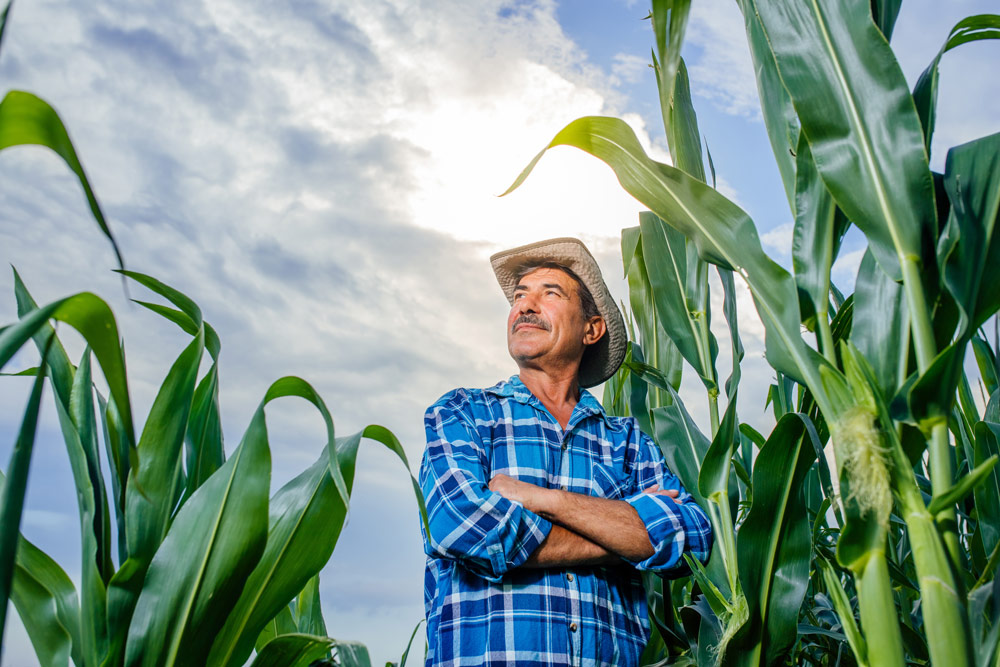 2020 National Corn Yield Contest Winners Announced