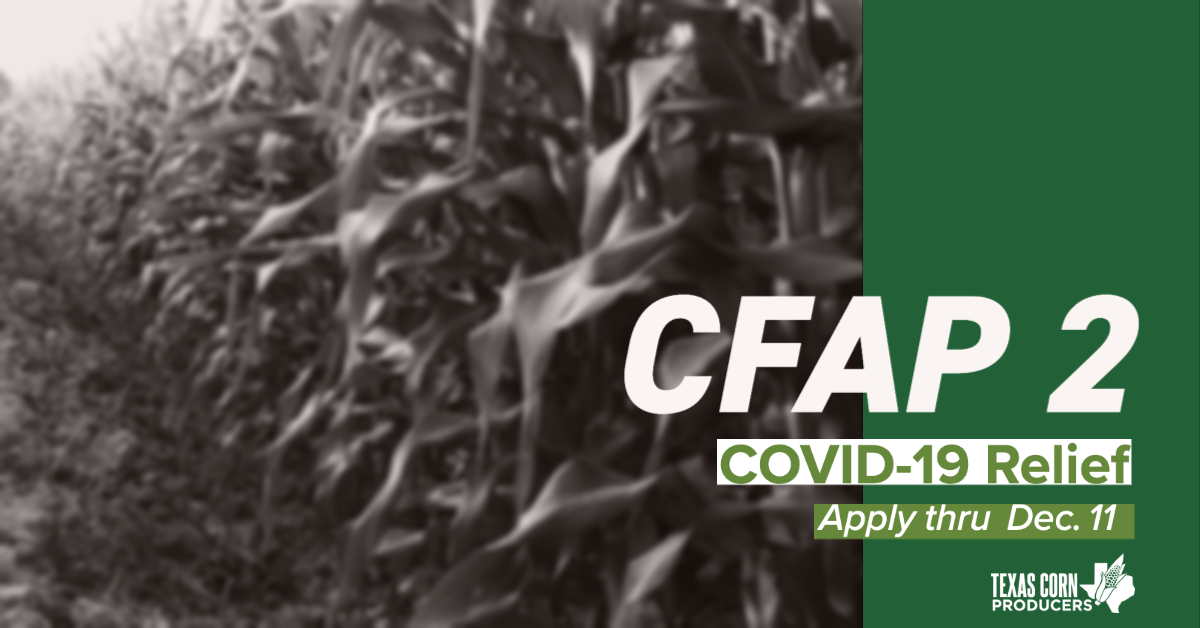 CFAP 2 assistance welcomed by farmers hard-hit in 2020