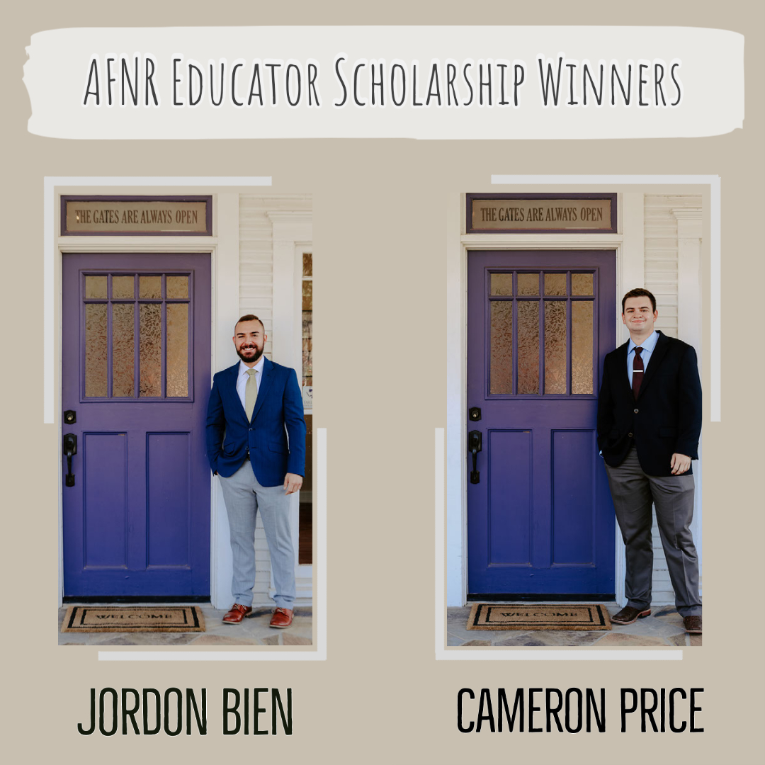 Investing in our Educators