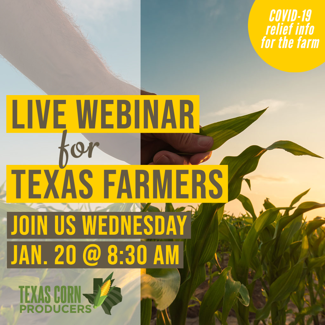 Virtual conversation with K-Coe Isom Jan. 20 on latest COVID-19 relief for farmers