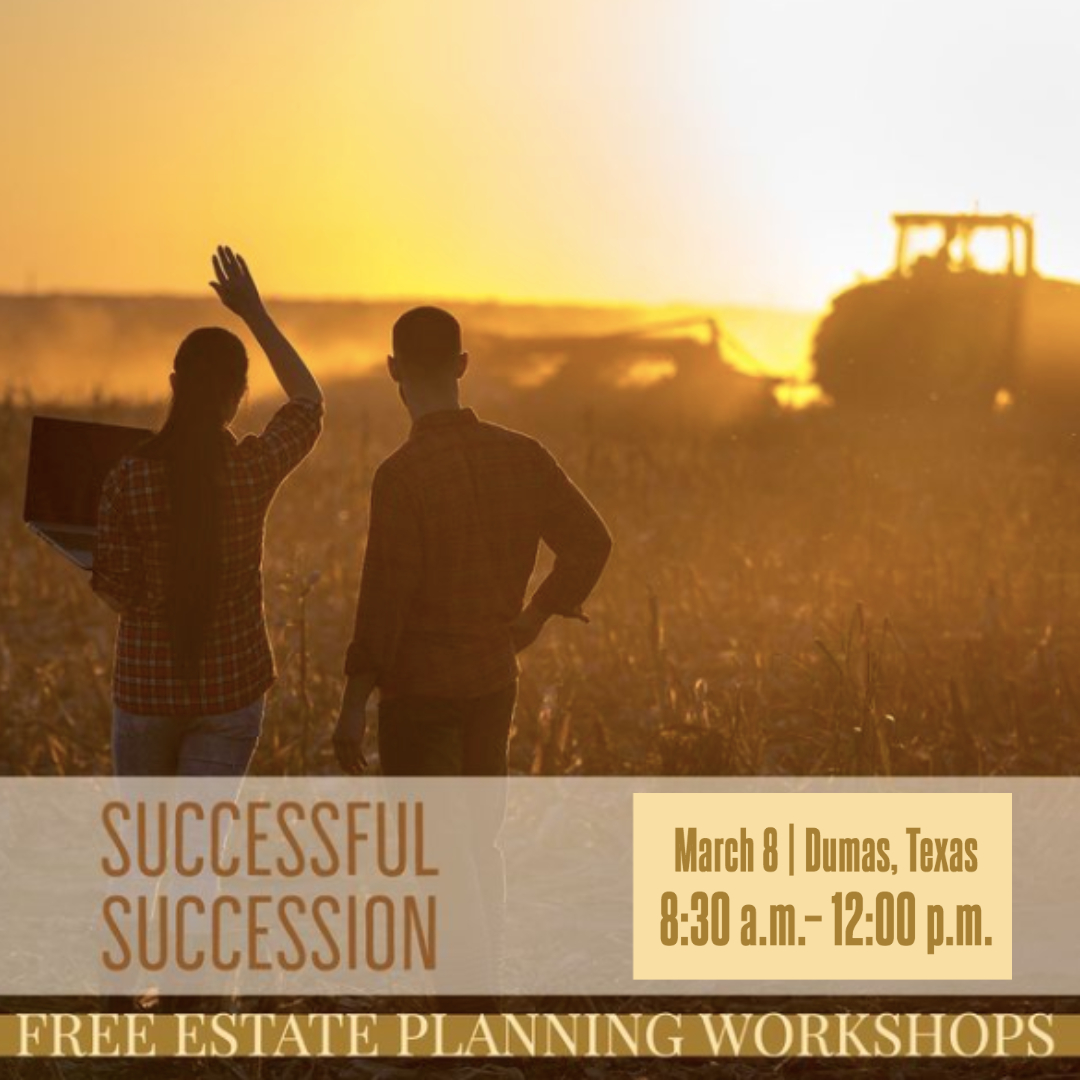 Successful Succession coming to Dumas
