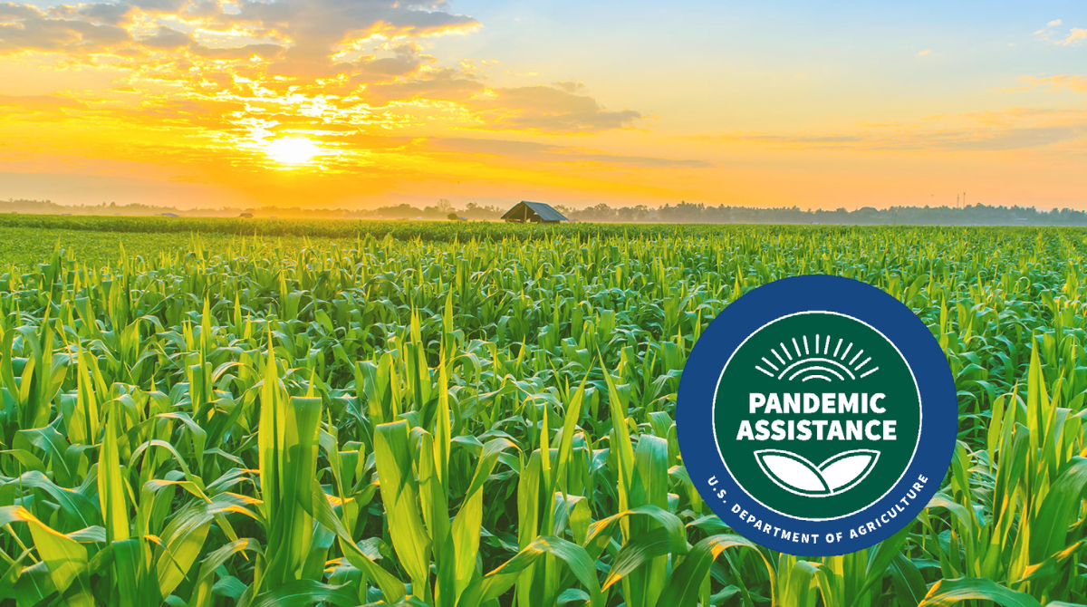 USDA Pandemic Assistance for Producers