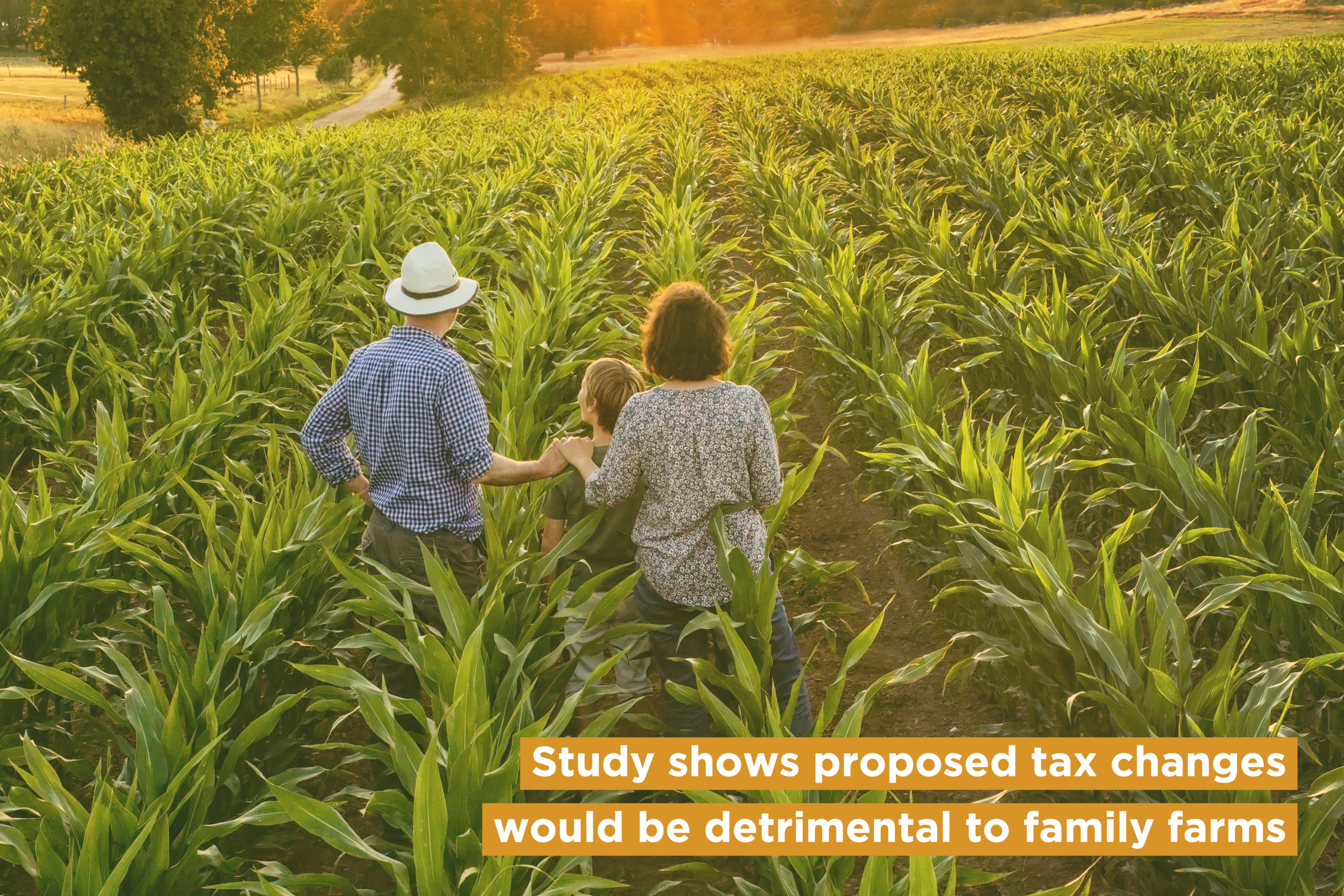 Proposed tax policy poses detrimental impact to farmers, study confirms