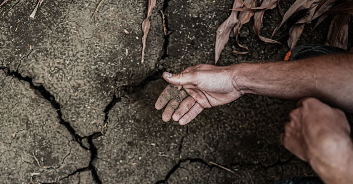 USGC reappoints Texas corn farmers for advisory teams