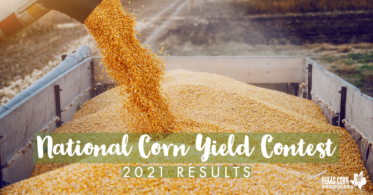 Texas winners announced for NCGA’s National Corn Yield Contest