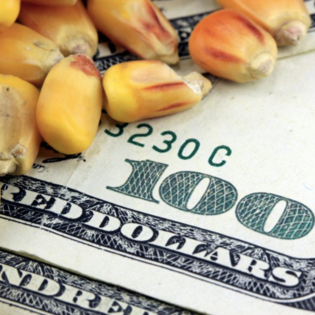 2022 AFNR Scholarship Winners Announced