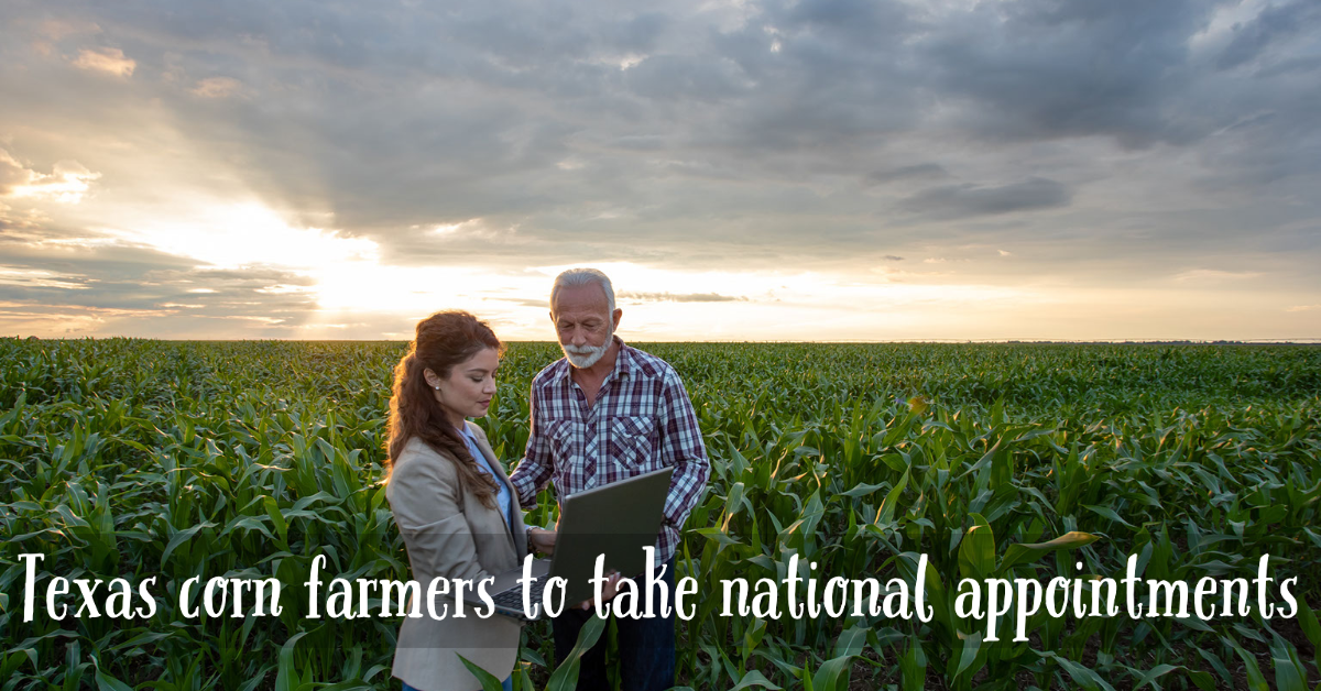 Texas corn farmers to take national appointments