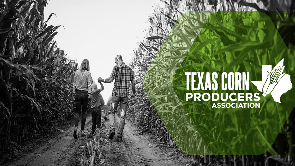 Association holds annual meeting, elects leadership