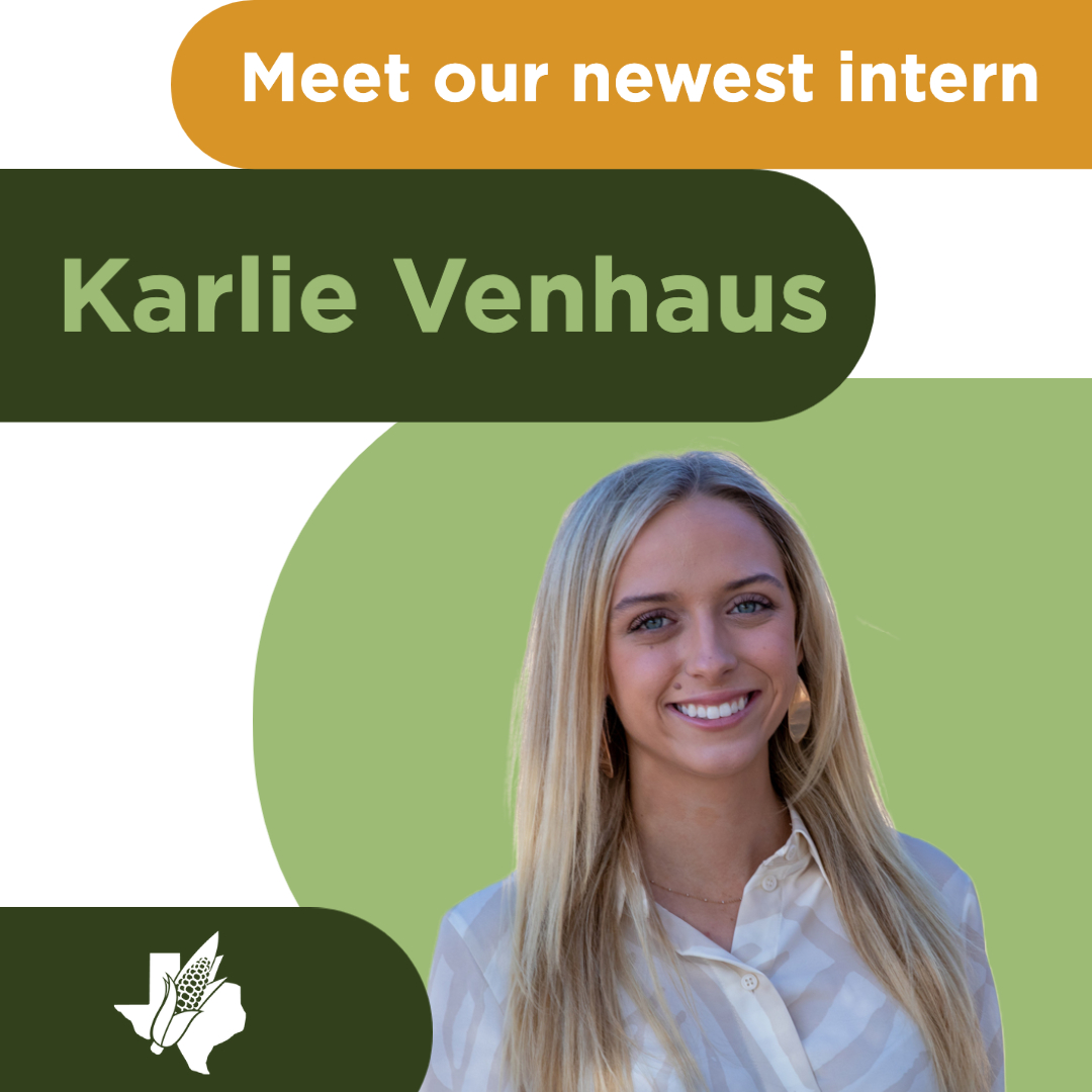 Communications intern joins TCP team