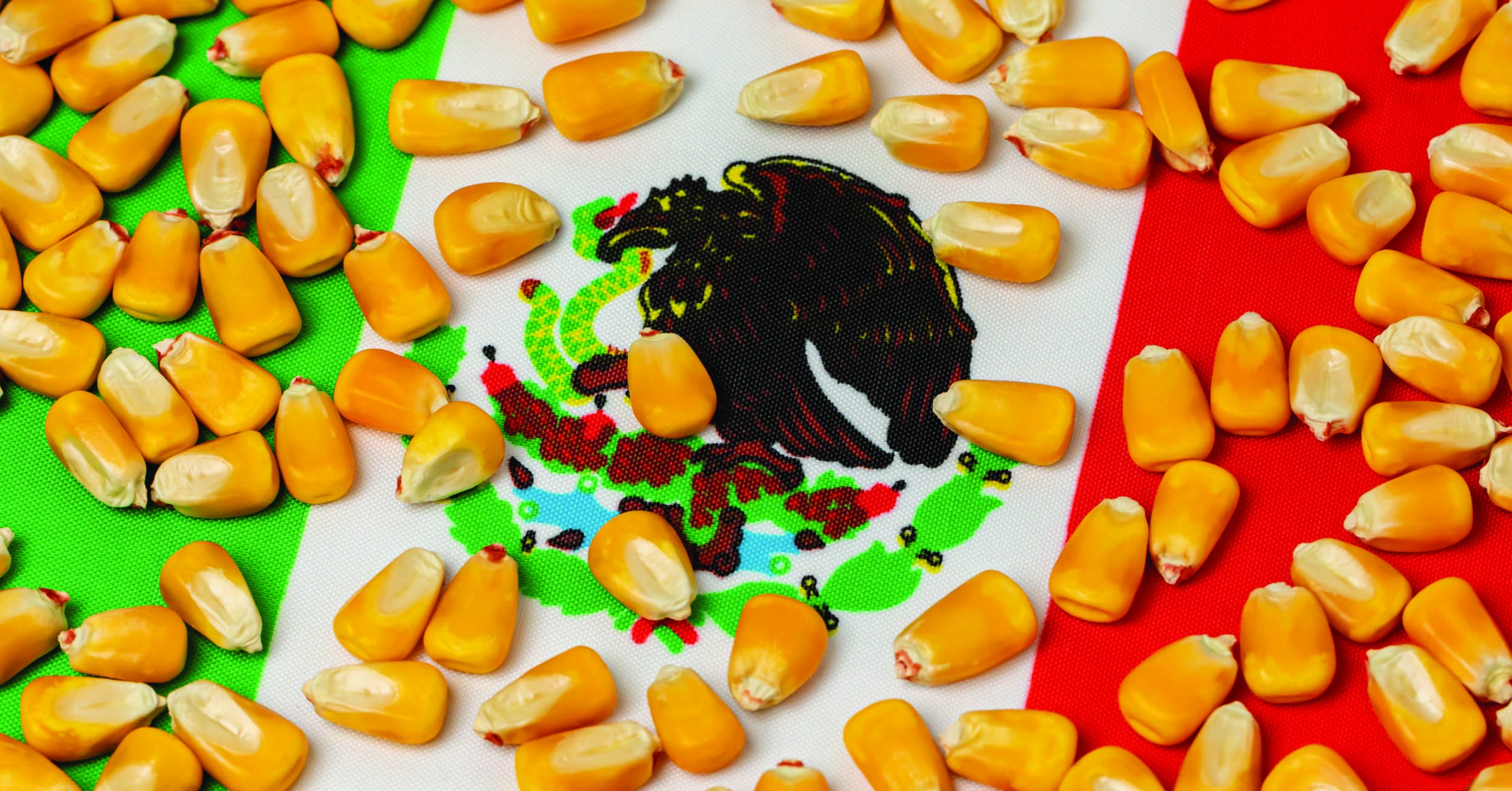 Texas corn farmers welcome U.S. Trade Representative’s move to initiate dispute settlement with Mexico over corn decree