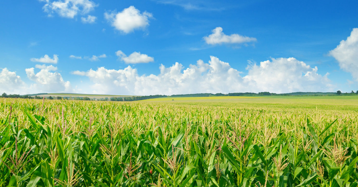 Serious questions remain about EPA atrazine proposal