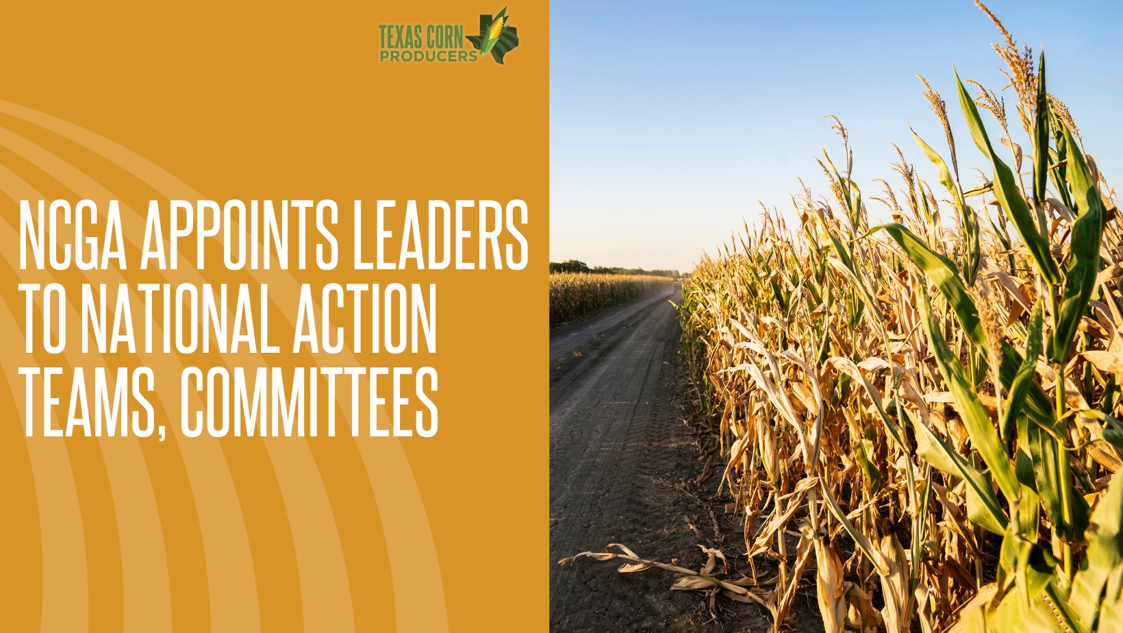 Texas corn farmers to take national appointments