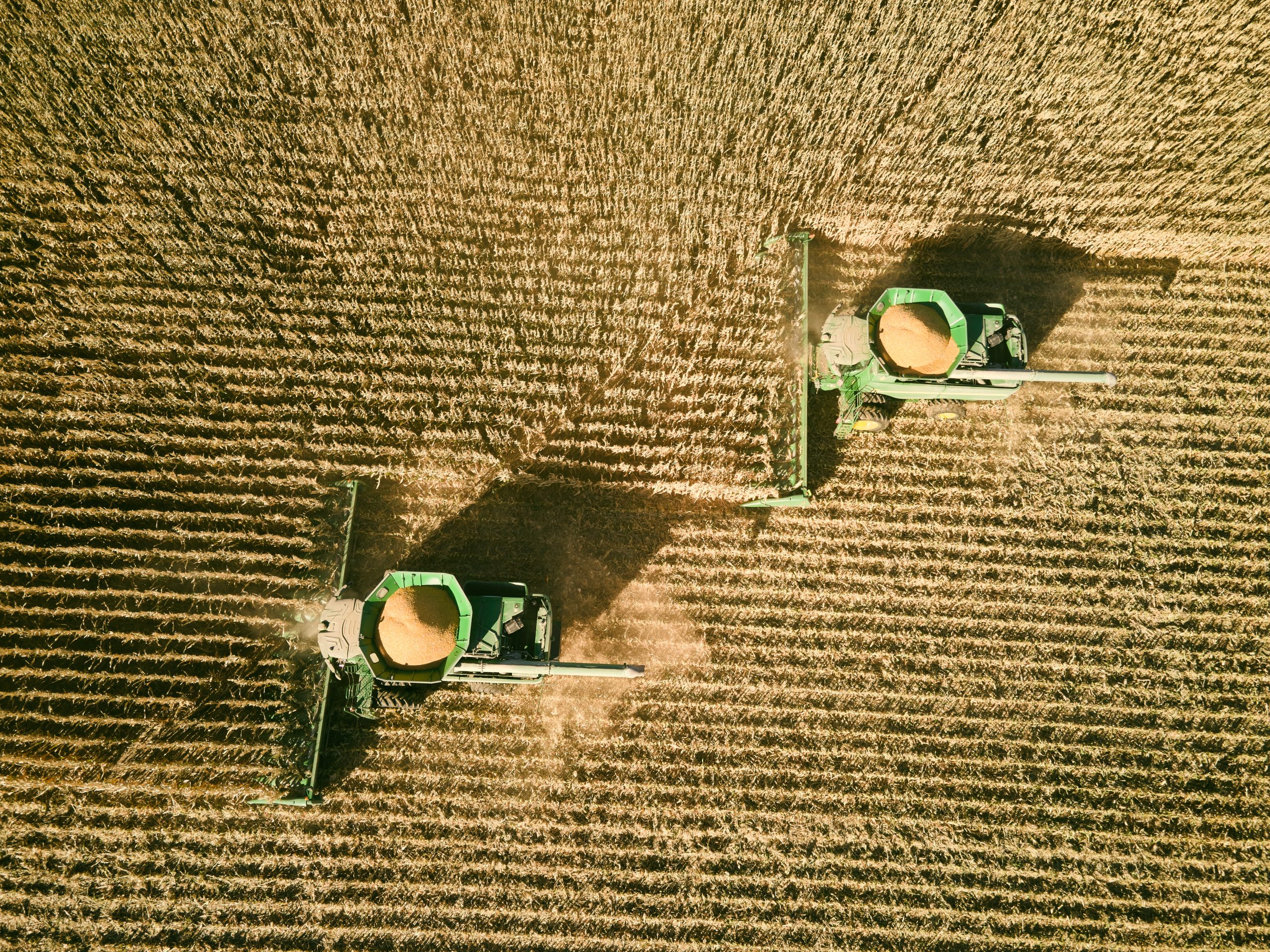 The season for a farm bill is now