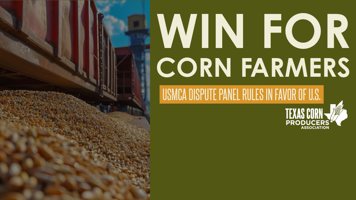 Texas corn association celebrates win in Mexico dispute