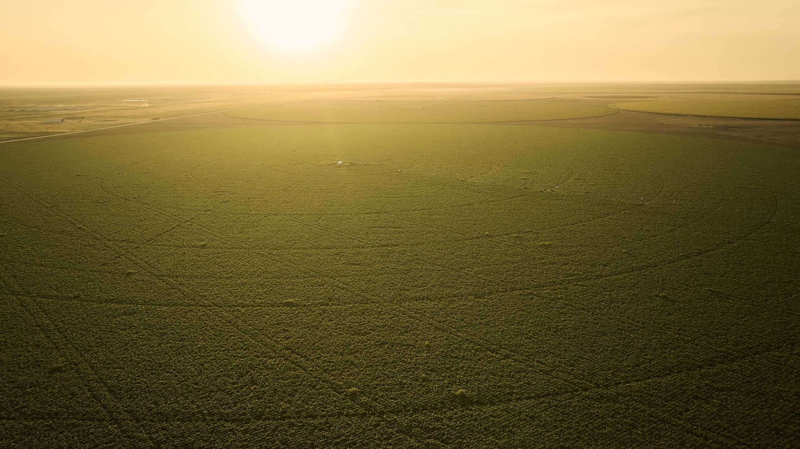 Five things farmers need to know about the Emergency Commodity Assistance Program (ECAP)